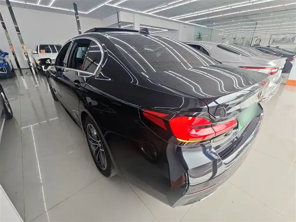 BMW 5 Series New Energy 2022 из CN, фото 10