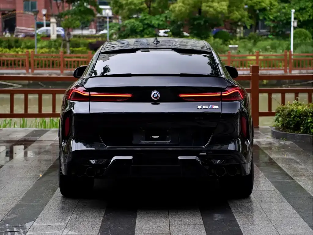 BMW X6 M 2023 из CN, фото 9