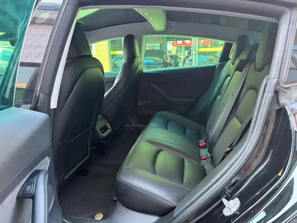 Tesla Model 3 2021 из CN, фото 6