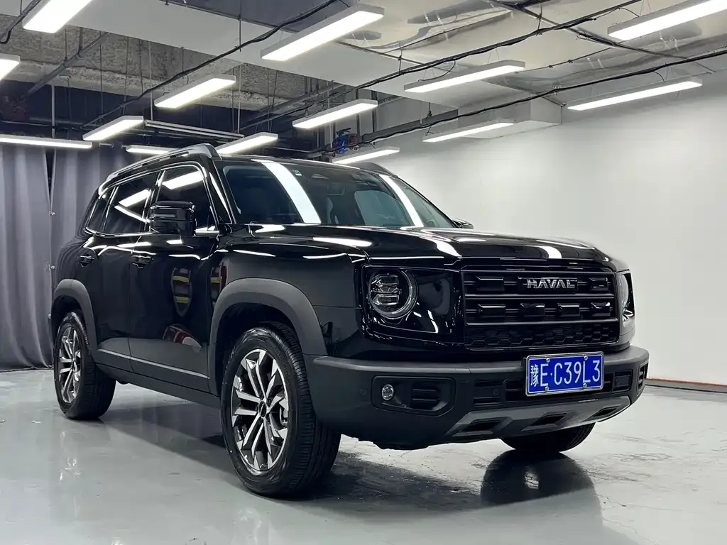 Haval Big Dog 2025 из CN, фото 10