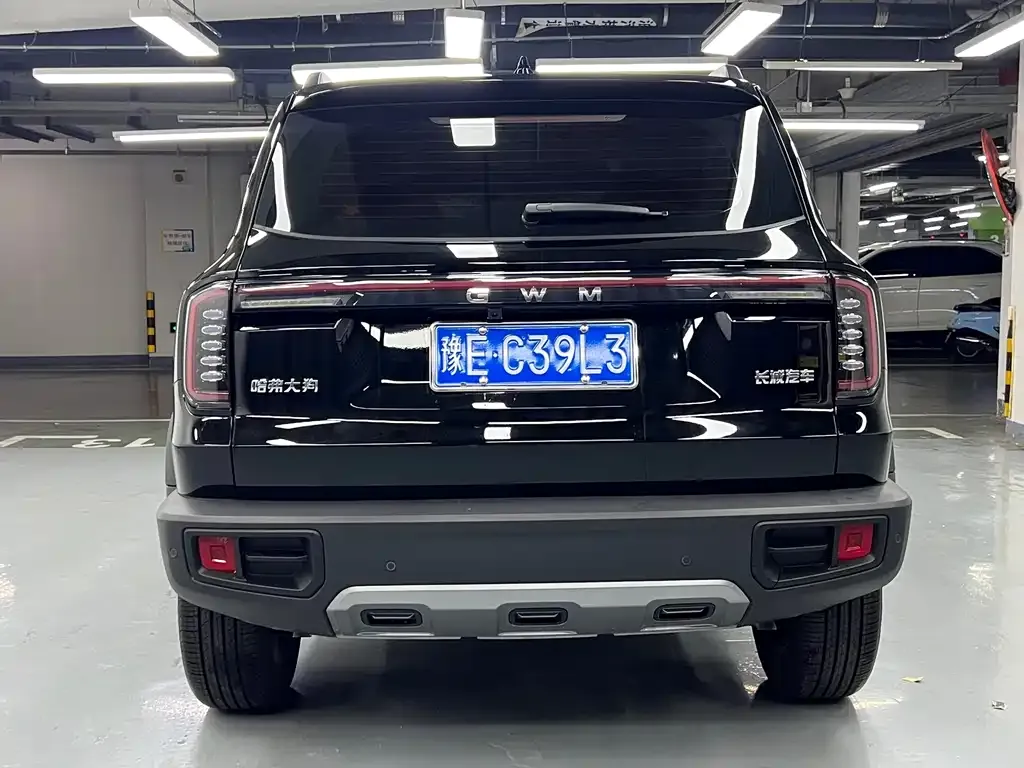 Haval Big Dog 2025 из CN, фото 4