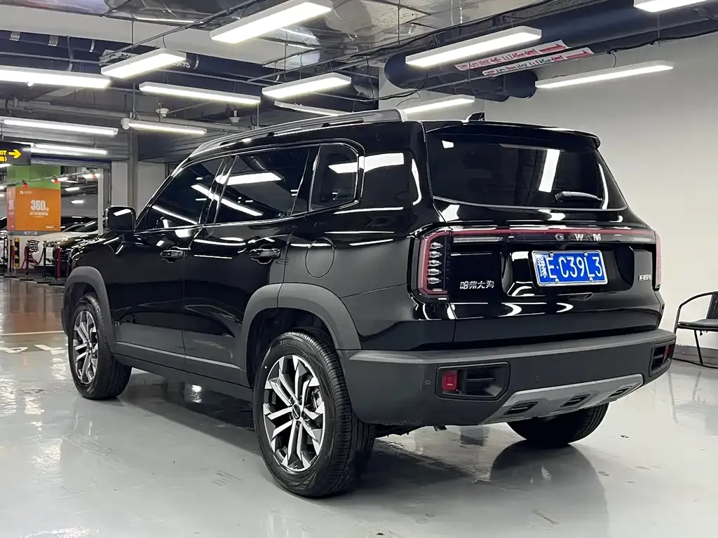 Haval Big Dog 2025 из CN, фото 9