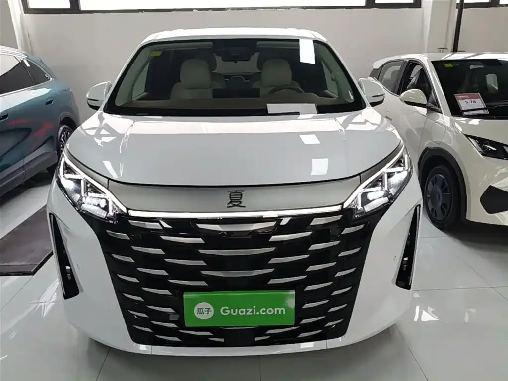 BYD Xia 2025 из CN, фото 5
