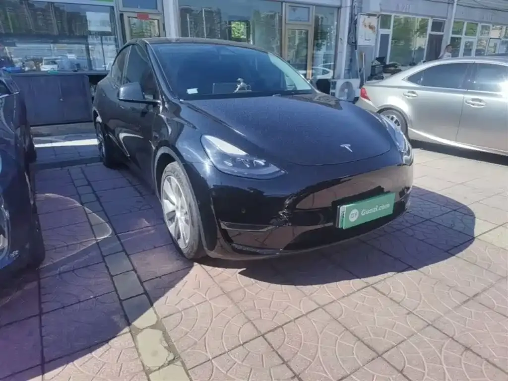 Tesla Model Y — фото 5