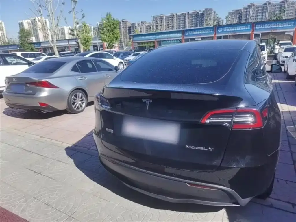 Tesla Model Y — фото 3