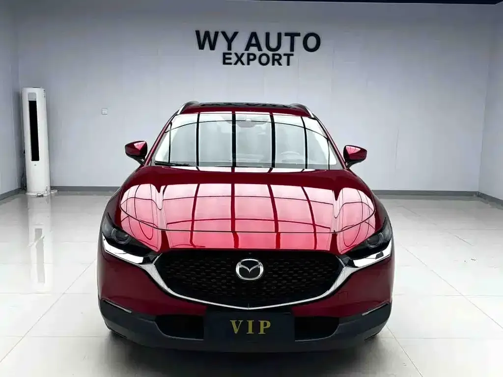 Mazda CX-30 2021 из CN, фото 3