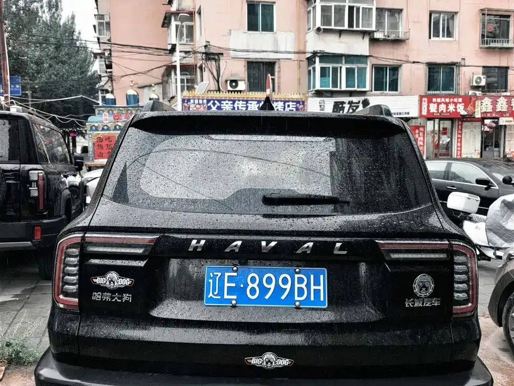 Haval Big Dog — фото 9