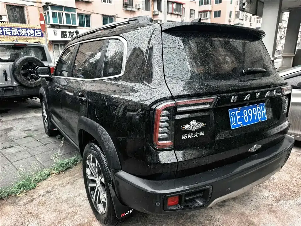Haval Big Dog — фото 5