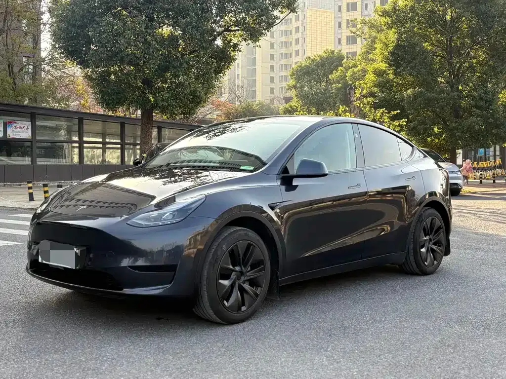 Tesla Model Y — фото 1