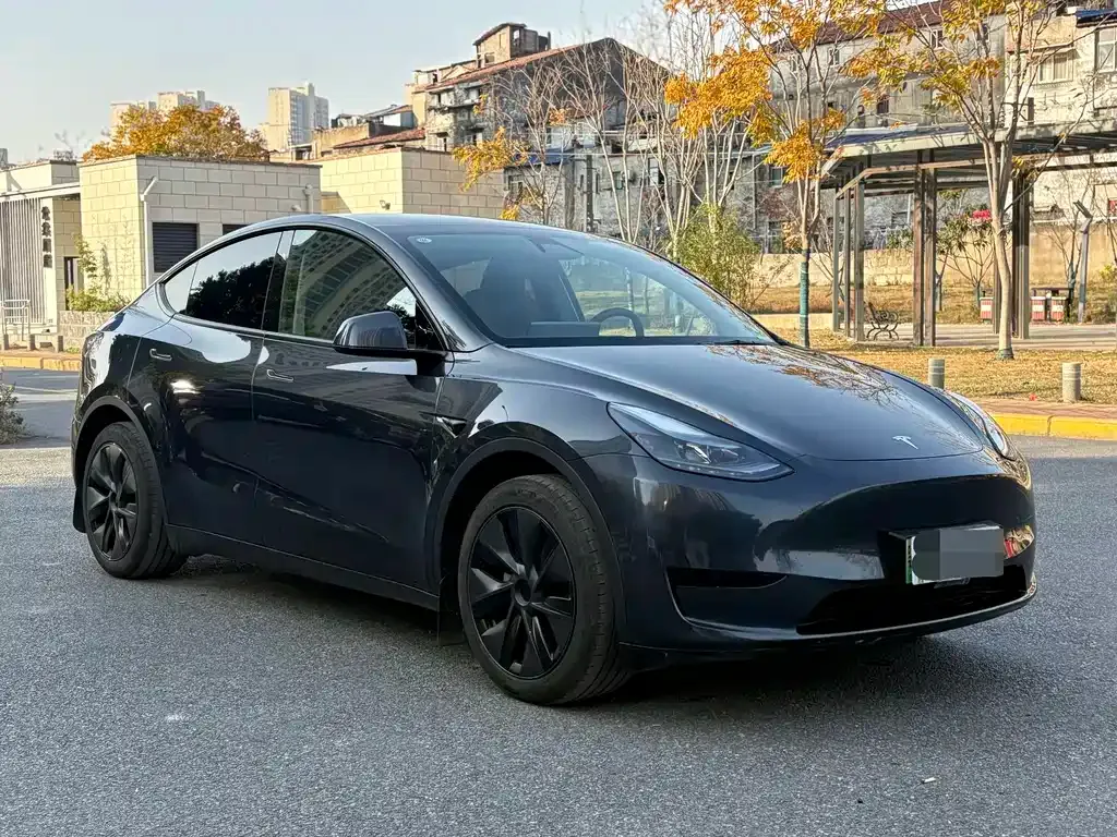 Tesla Model Y — фото 3