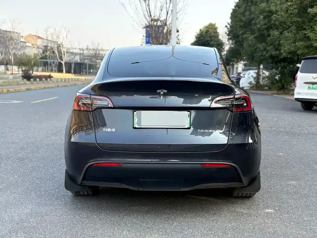 Tesla Model Y — фото 2