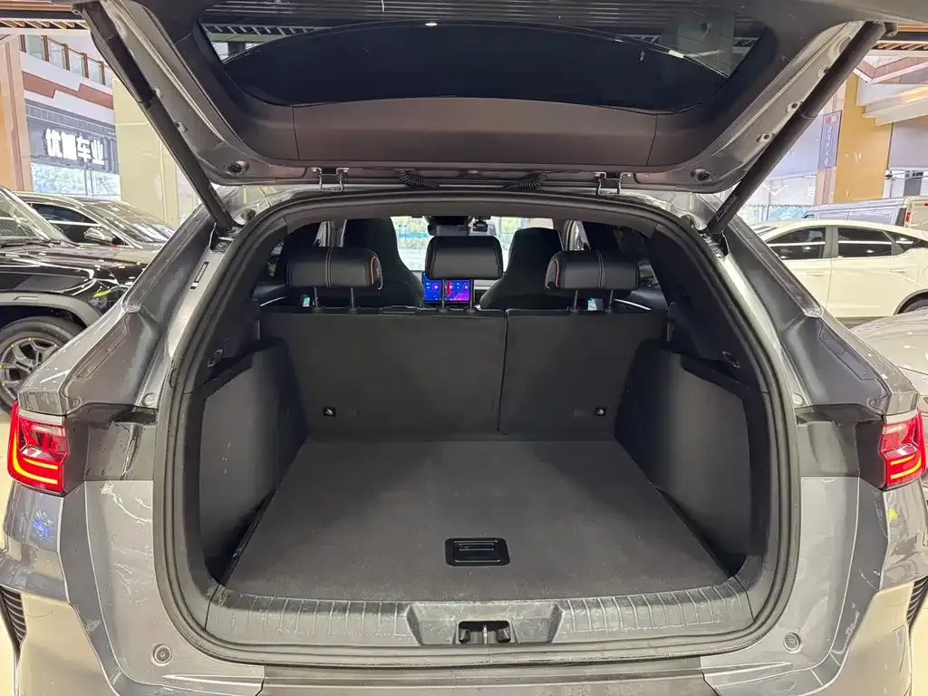 BYD PLUS New Energy 2023 из CN, фото 8