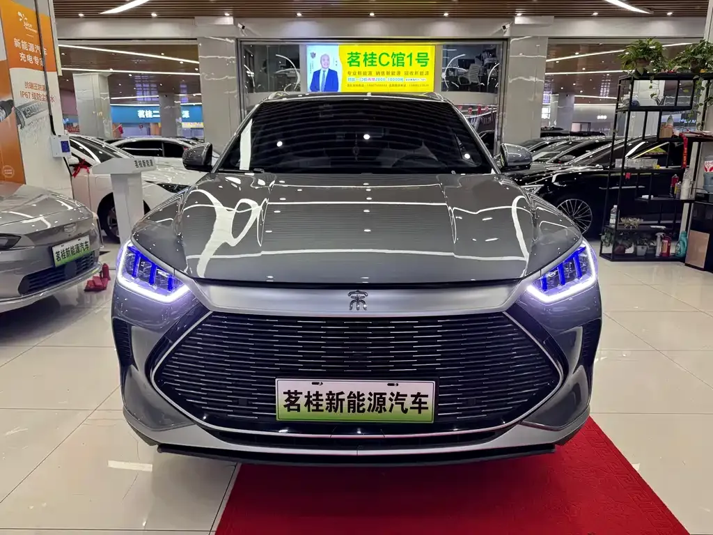 BYD PLUS New Energy 2023 из CN, фото 2