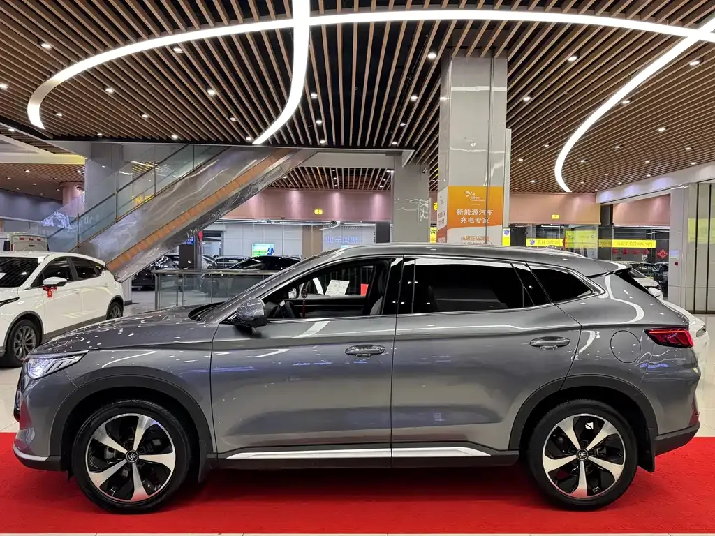 BYD PLUS New Energy 2023 из CN, фото 5
