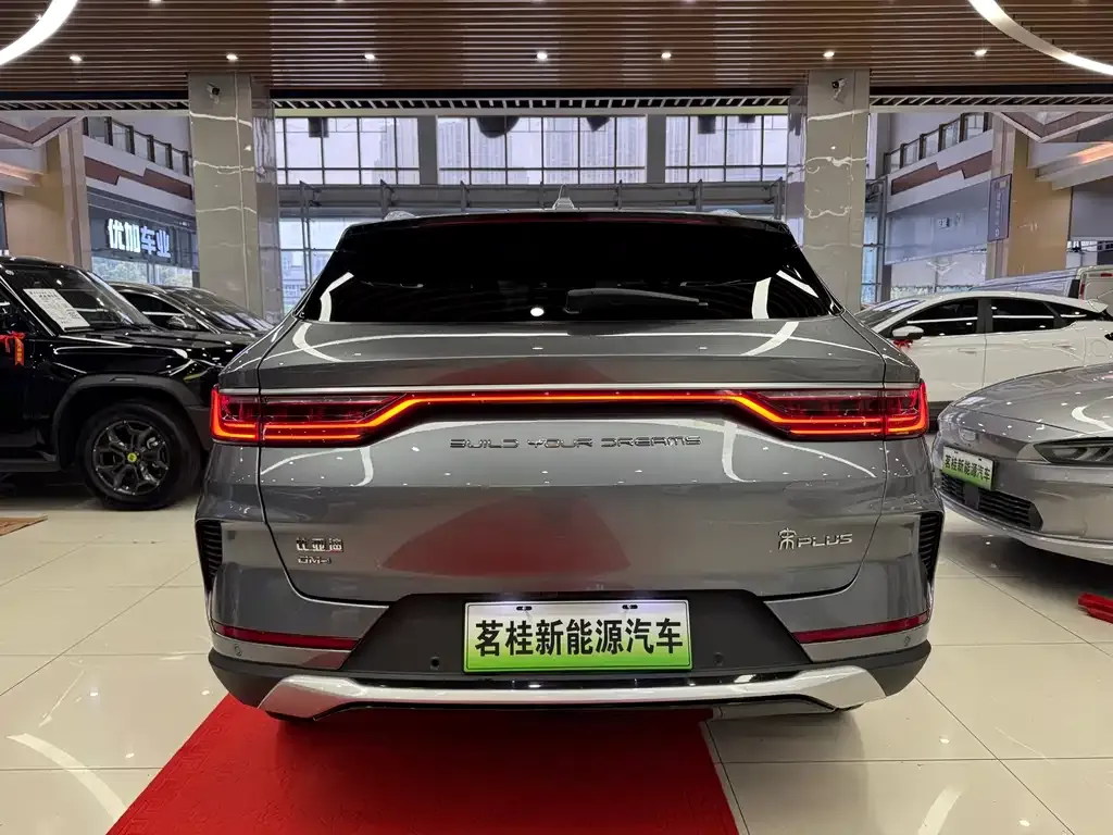 BYD PLUS New Energy 2023 из CN, фото 7