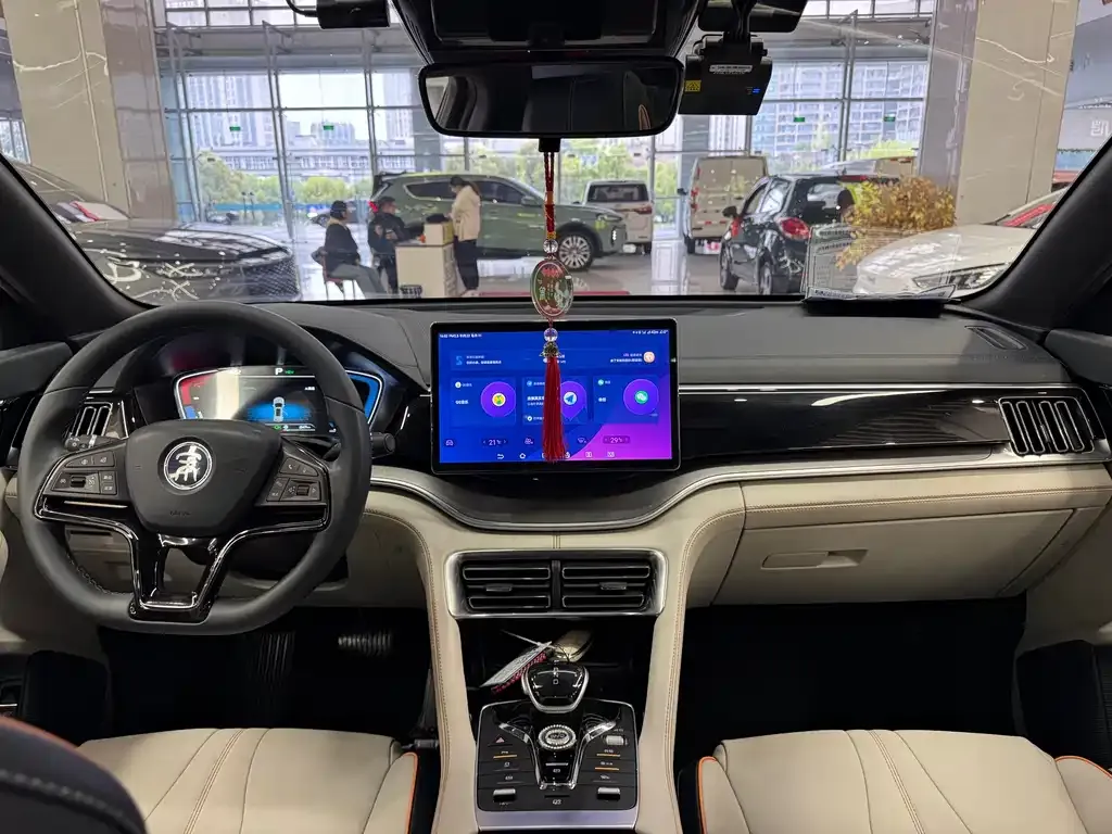 BYD PLUS New Energy 2023 из CN, фото 6