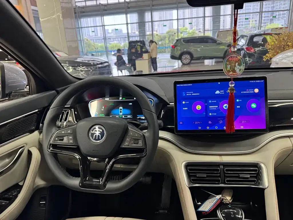 BYD PLUS New Energy 2023 из CN, фото 10