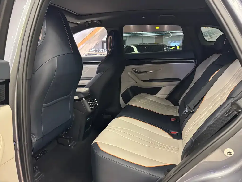 BYD PLUS New Energy 2023 из CN, фото 9