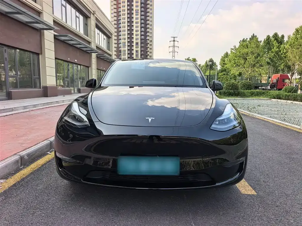 Tesla Model Y 2021 из CN, фото 9