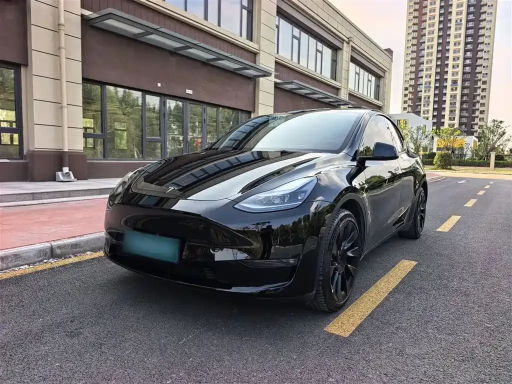 Tesla Model Y 2021 из CN, фото 10
