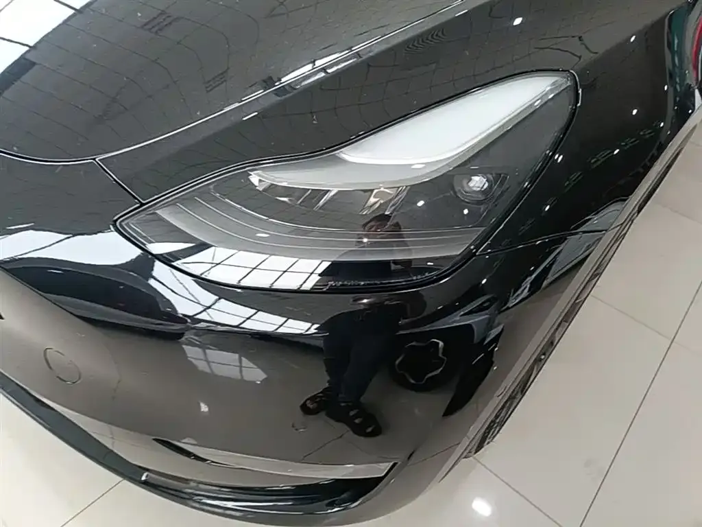 Tesla Model Y 2021 из CN, фото 8