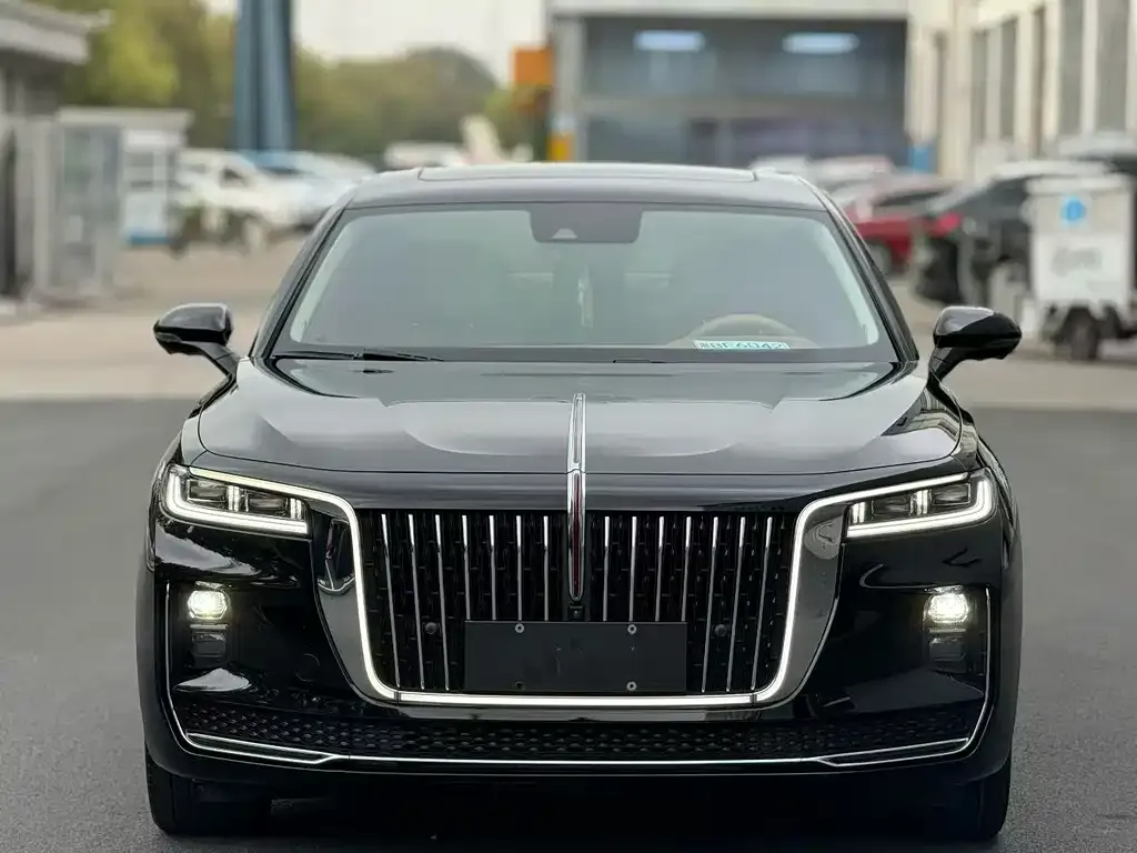 Hongqi H9 2022 из CN, фото 8
