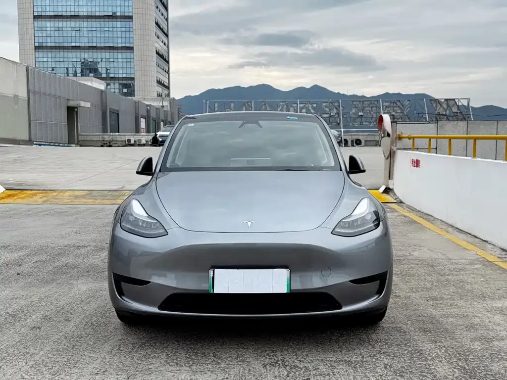 Tesla Model Y — фото 9