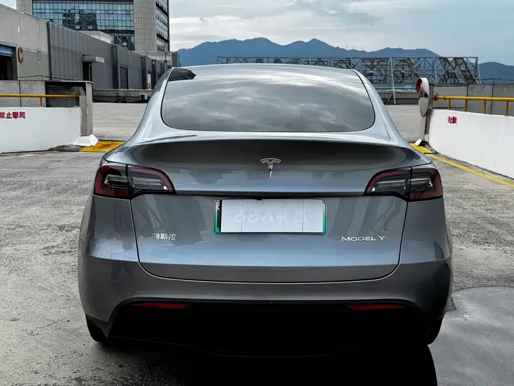 Tesla Model Y — фото 6
