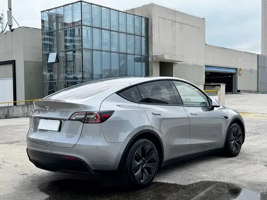 Tesla Model Y — фото 3