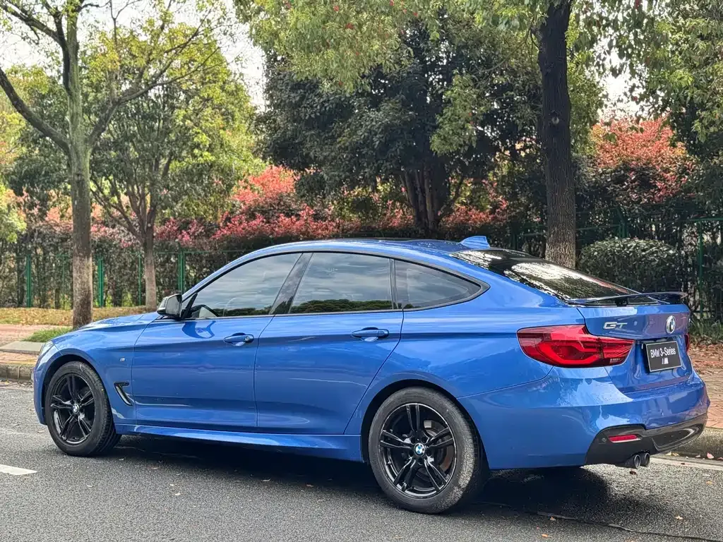 BMW 3 Series GT 2021 из CN, фото 9