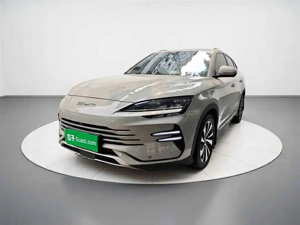 BYD PLUS New Energy — фото 1