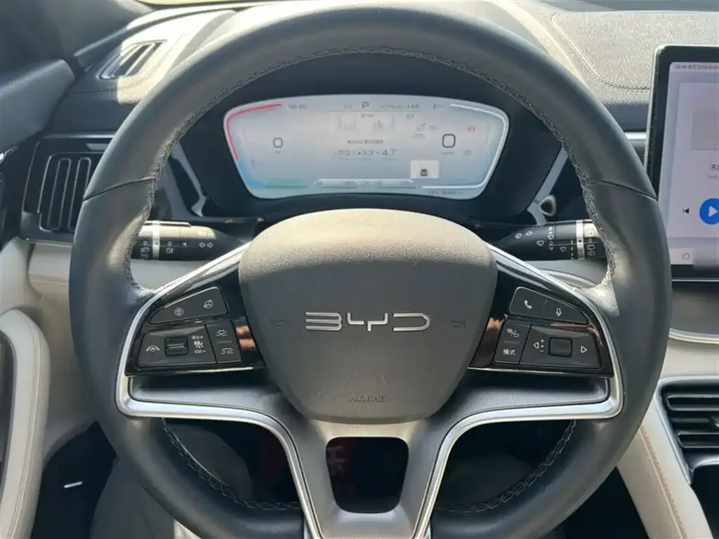 BYD PLUS New Energy — фото 4