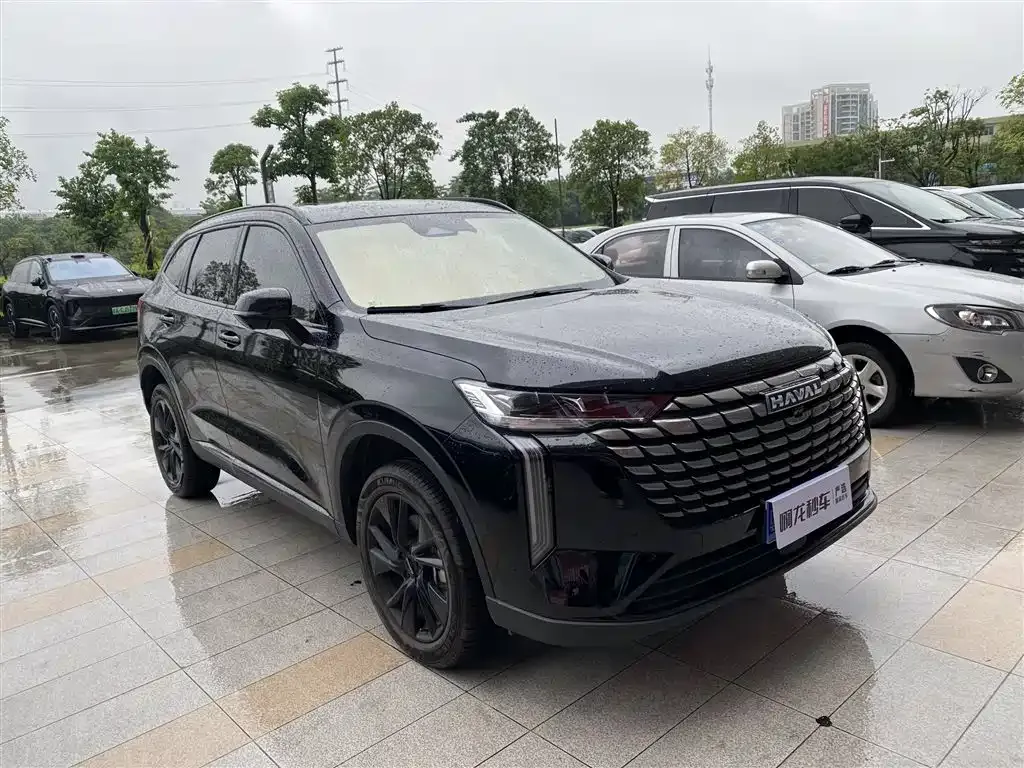 Haval H6 — фото 8