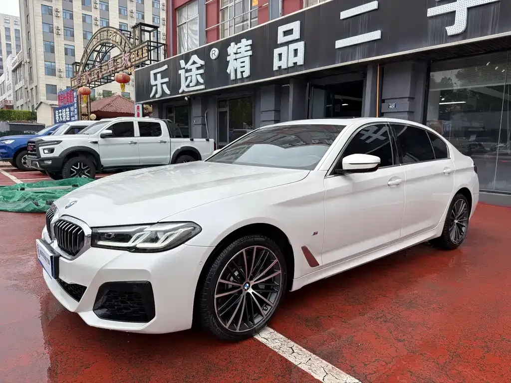 BMW 5 Series 2023 из CN, фото 4