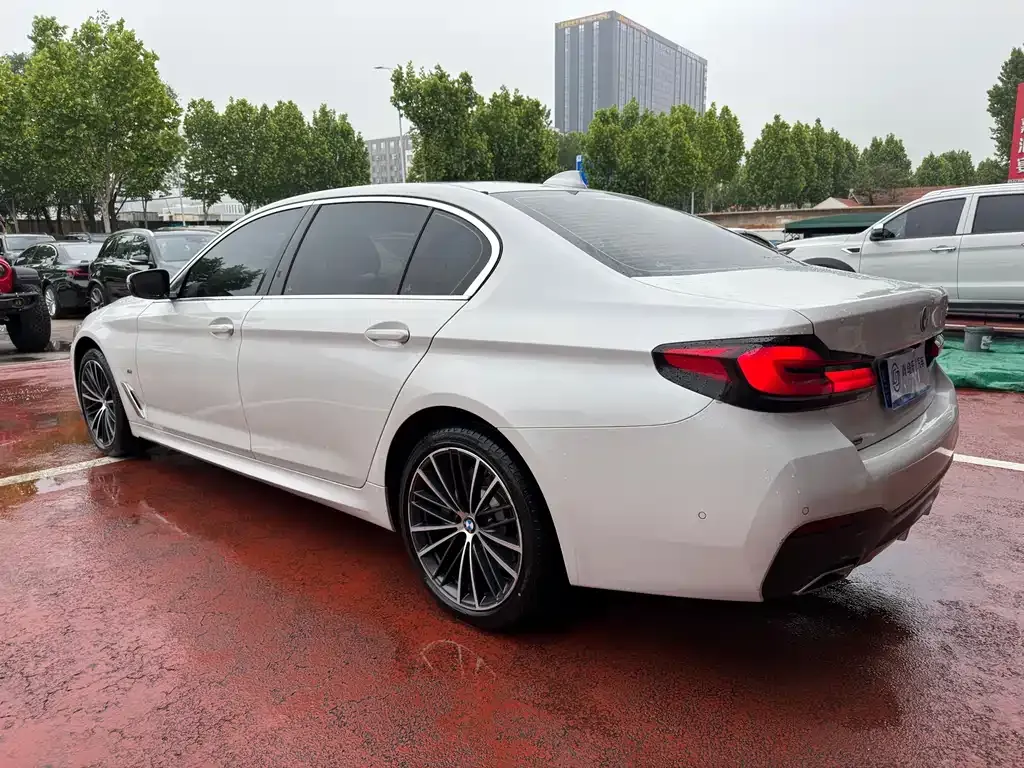BMW 5 Series 2023 из CN, фото 6