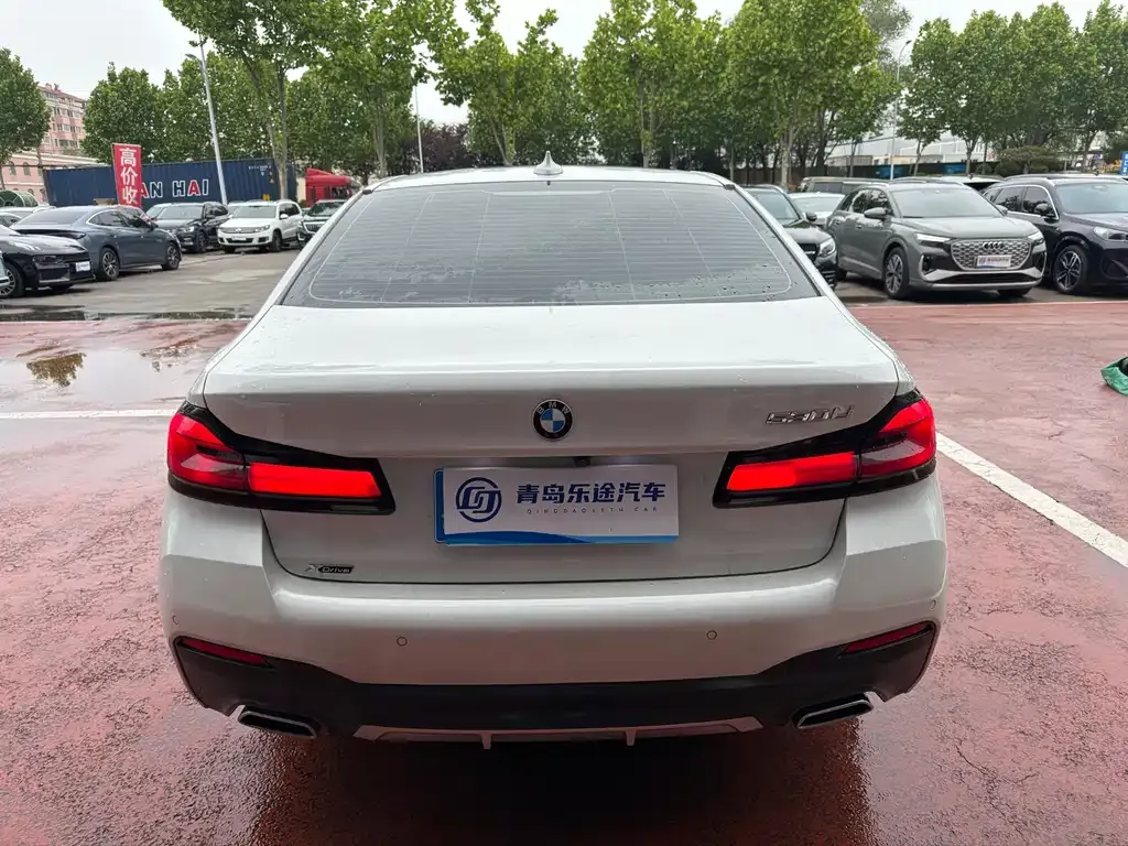 BMW 5 Series 2023 из CN, фото 9