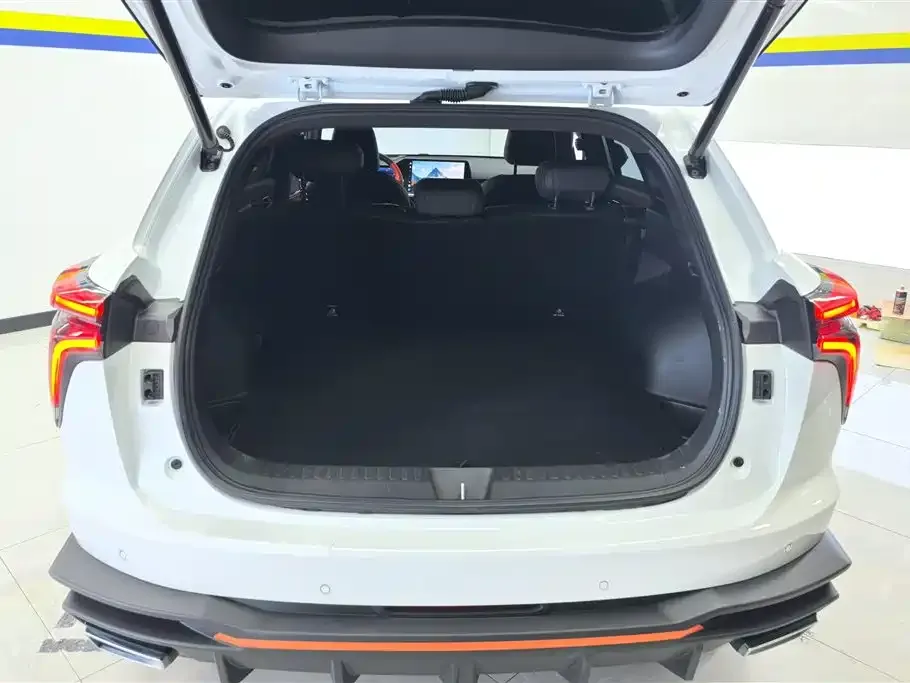 Haval Shenshou 2023 из CN, фото 5
