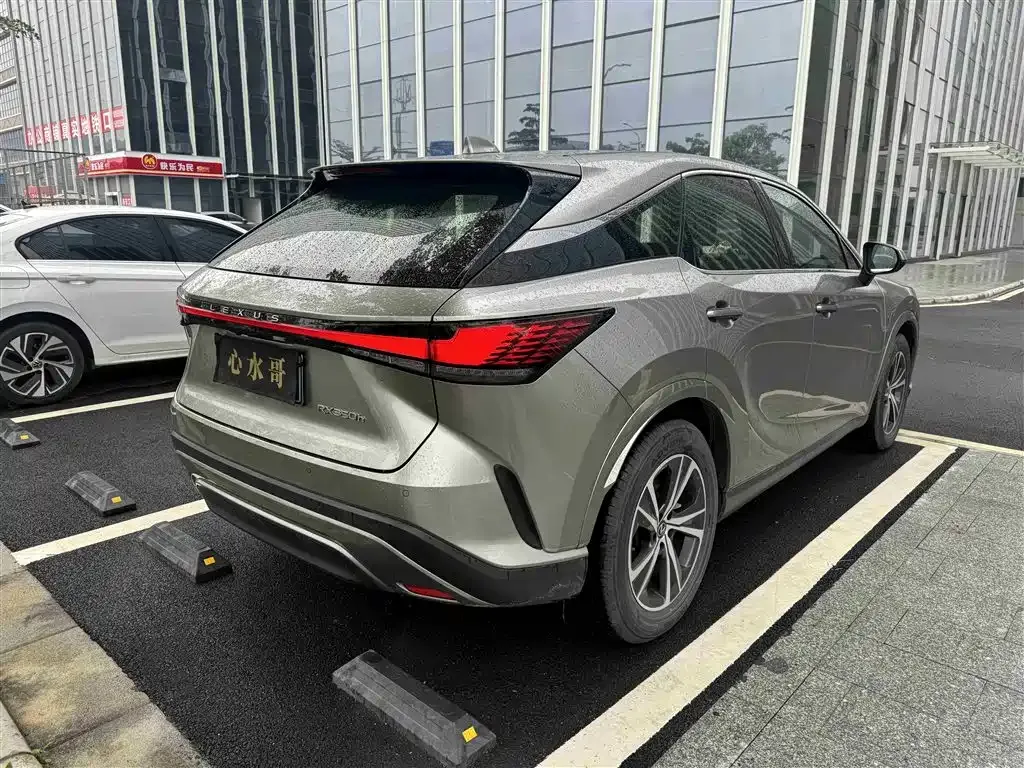 Lexus RX — фото 10