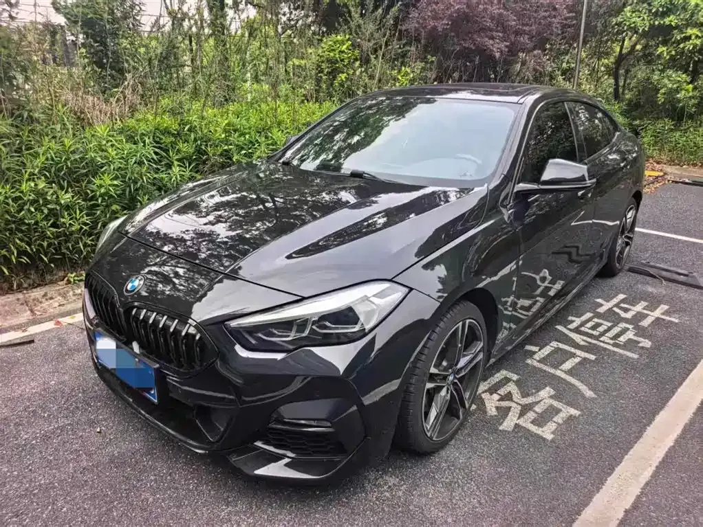 BMW 2 Series (Import) — фото 1