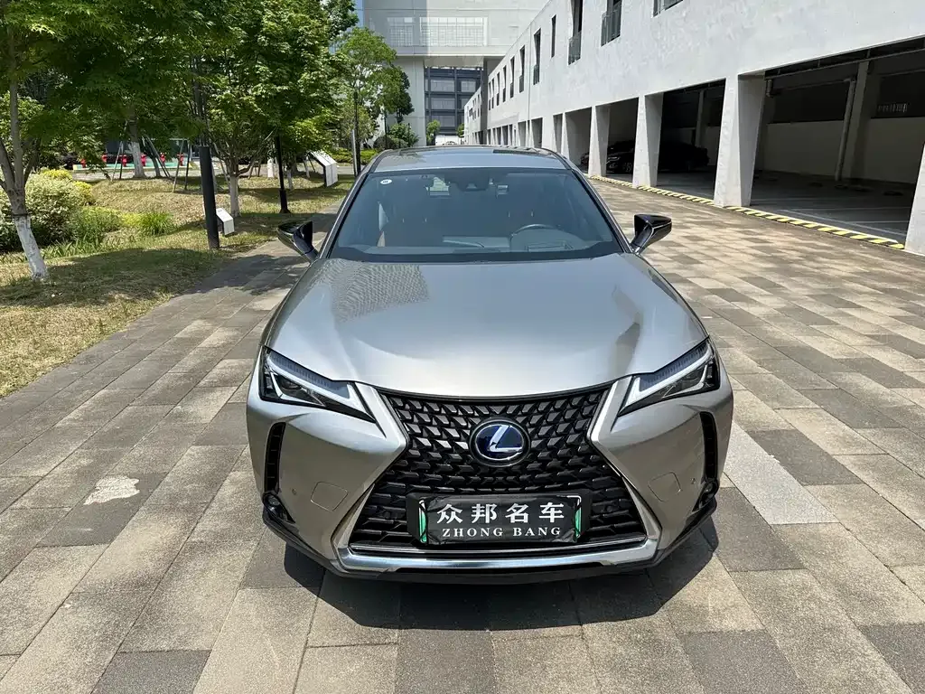 Lexus UX New Energy 2022 из CN, фото 3