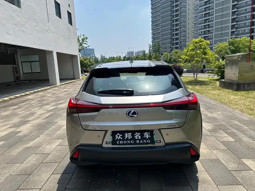 Lexus UX New Energy 2022 из CN, фото 4