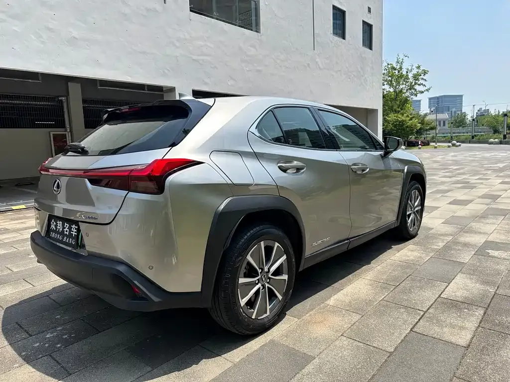 Lexus UX New Energy 2022 из CN, фото 7