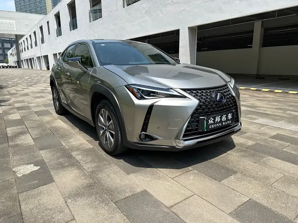 Lexus UX New Energy 2022 из CN, фото 10