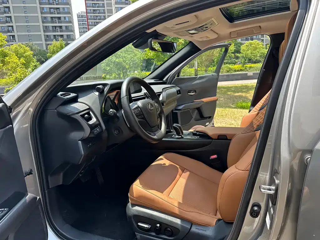 Lexus UX New Energy 2022 из CN, фото 2