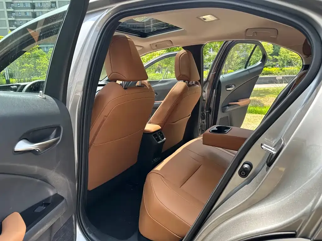 Lexus UX New Energy 2022 из CN, фото 5