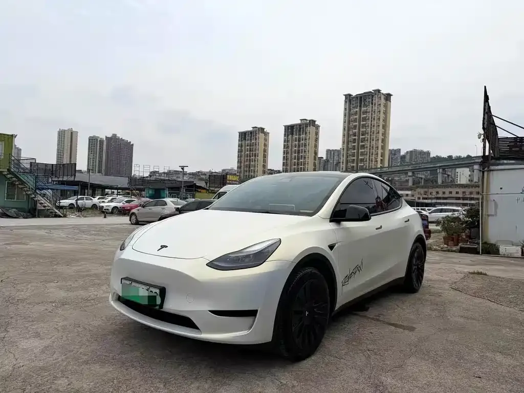 Tesla Model Y — фото 1