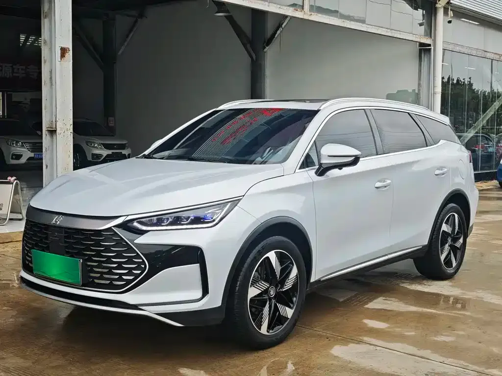 BYD Tang New Energy 2024 из CN, фото 1