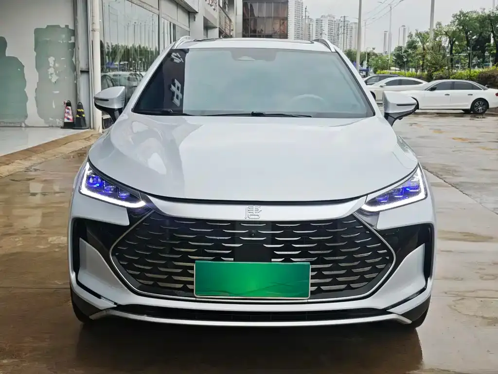 BYD Tang New Energy 2024 из CN, фото 10