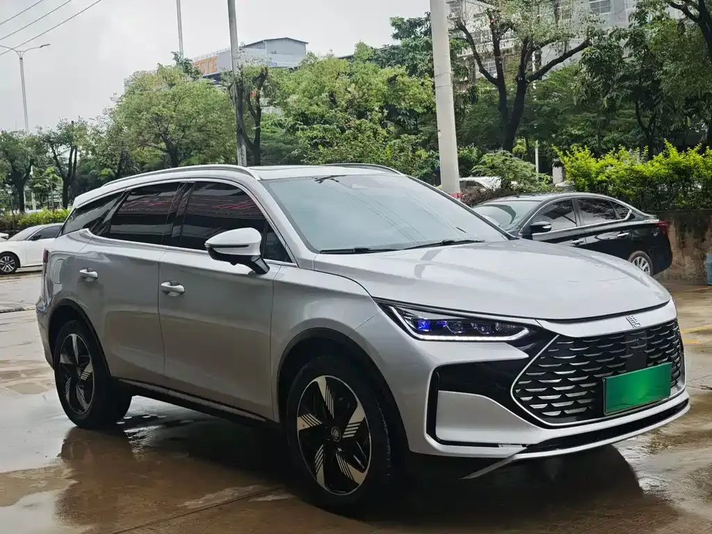 BYD Tang New Energy 2024 из CN, фото 3