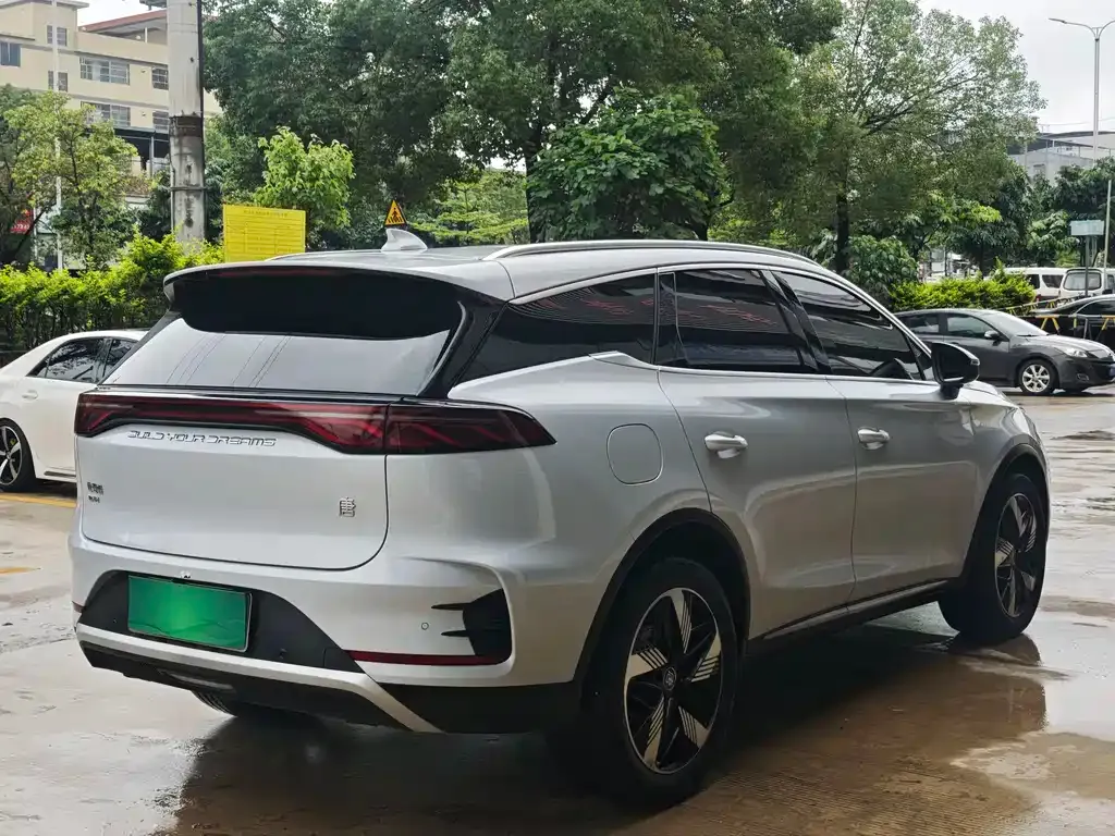 BYD Tang New Energy 2024 из CN, фото 4